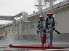 Dinas Damkar Kulon Progo Tangani Pohon Tumbang di Terminal
